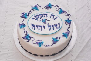 katanscan grape vine cake