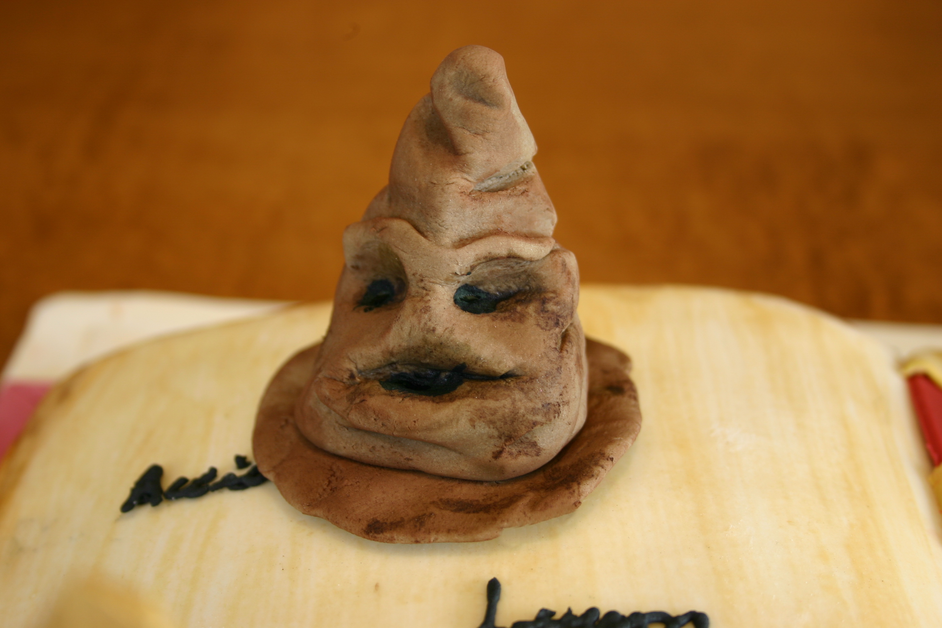 Harry Potter sorting hat