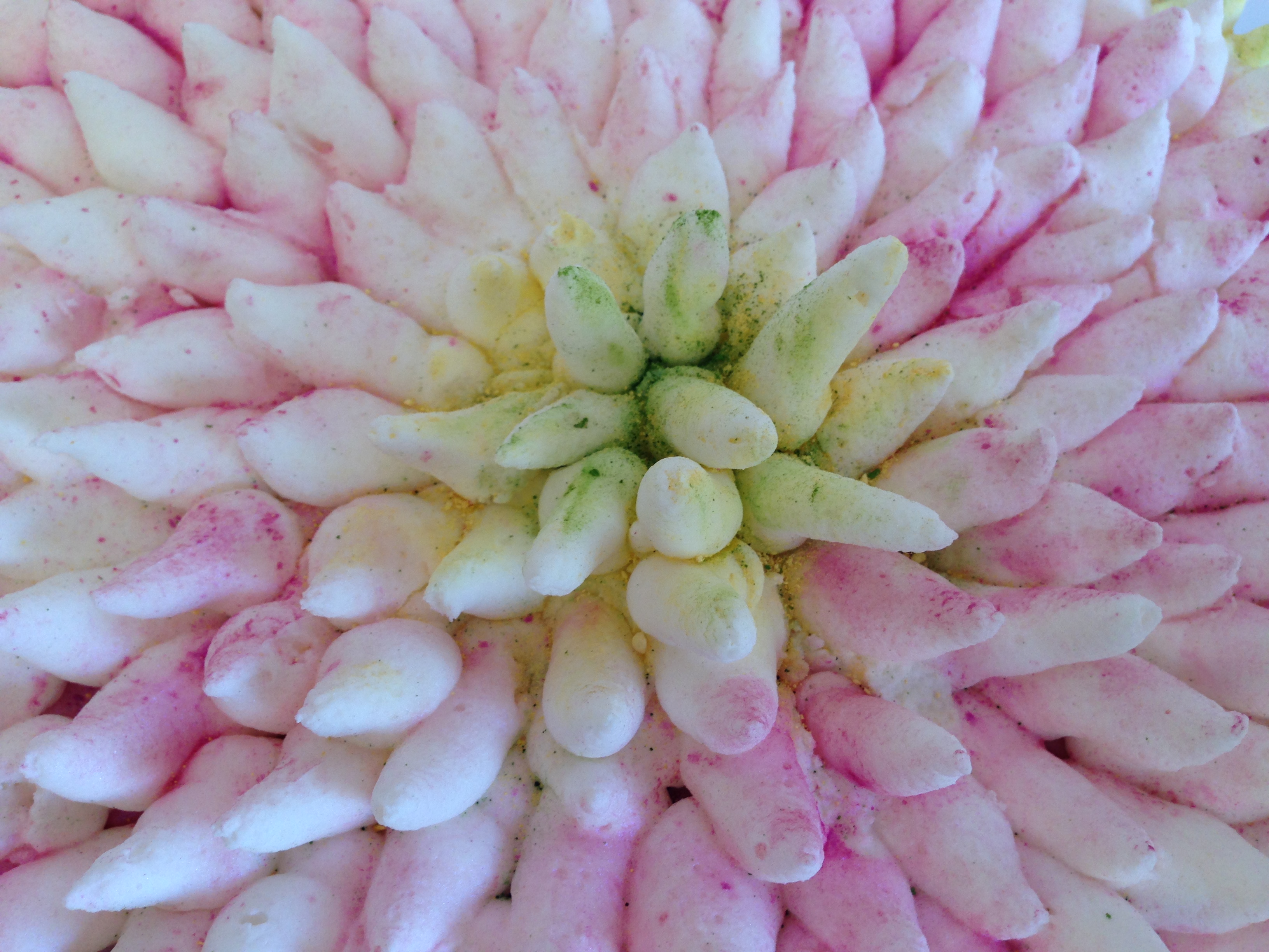 chrysanthemum flower cake Jerusalem